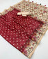 Vasthrlay Bandhani Embroidery