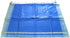 Vasthrlay Handloom Bhagalpuri Blouse Sky Blue