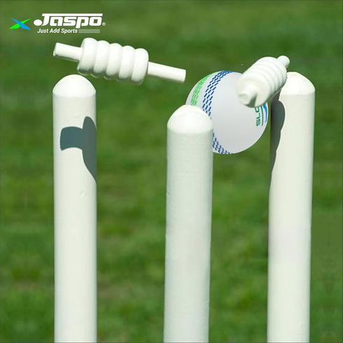 Jaspo Slog Tennis Cricket Balls