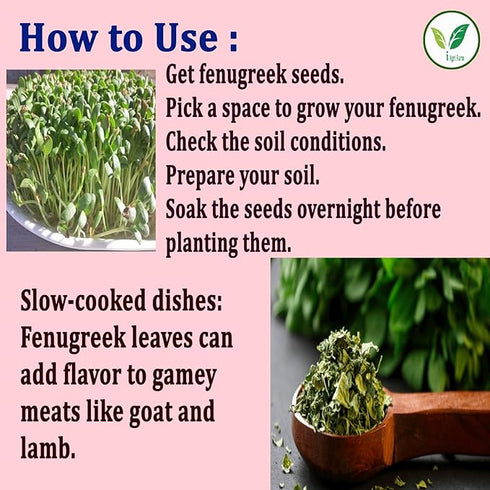 Agri Farm Iagrifarm Fenugreek (Methi) Cultivation Seeds