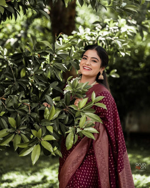 Vasthrlay Lavender Kanjivaram Saree