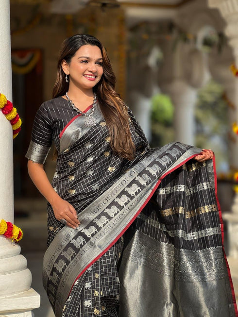 Vasthrlay Kanjivaram Saree