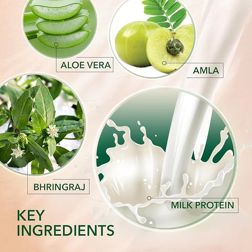 Kesh King Ayurvedic Damage Repair Shampoo