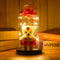 Wishpitara Valentines Day Artificial Rose Flower Light Gift in Glass Dome with Teddy
