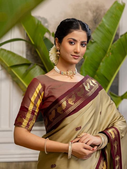Vasthrlay Weaving Beige Saree