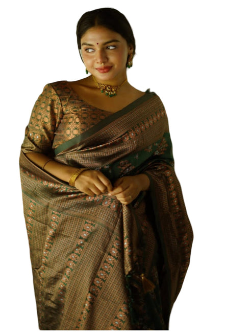 Vasthrlay Banarasi Border Saree