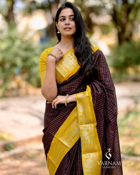 Vasthrlay Kanjivaram Traditional Saree