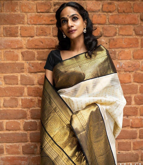 Vasthrlay White Banarasi Saree