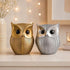Modern Classy Lucky Owl Statues for Home Decor