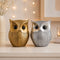 Modern Classy Lucky Owl Statues for Home Decor