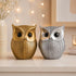 Modern Classy Lucky Owl Statues for Home Decor