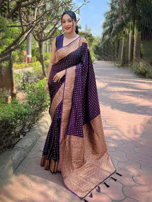 VasthrlayWomen's Banarasi Kanchipuram Saree