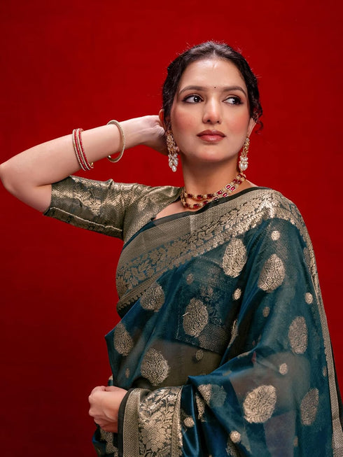 Vasthrlay Shimmer Embroidery Turquoise Saree
