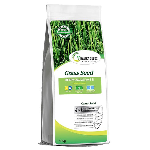 Navika Original And Pure Bermuda Grass Seeds