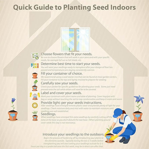 NooElec Mix Color Tulip Seeds Flower Seeds