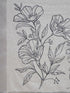 Vasthrlay Printed White1 White Saree