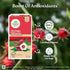 ORGANIC INDIA Moringa Hibiscus 25 Tea bags