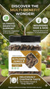 Kitchen Jungle Natural Dried Chatpata Spicy Amla Candy