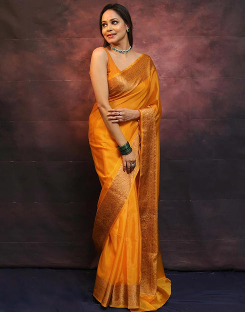 Vasthrlay Banarasi Kanjivaram Unstitched Teal Saree
