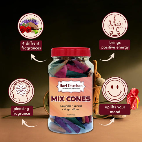Hari Darshan Natural Dhoop Cones Mix - 240 Cones