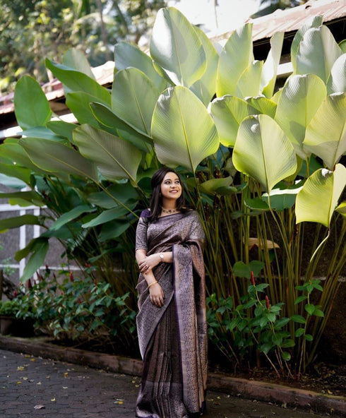 Vasthrlay Kanjivaram Saree