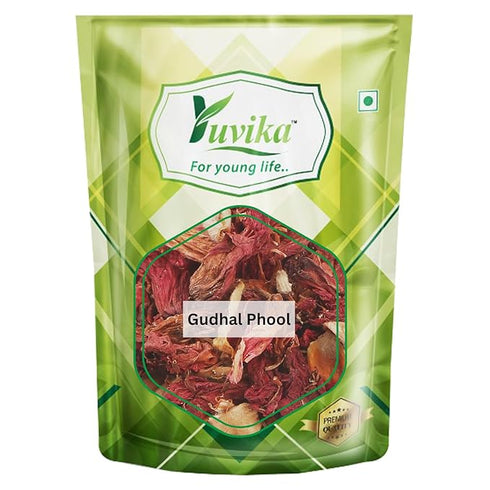 Yuvika Gudhal Phool - Jaswand - Hibiscus Rosa - Sinensis