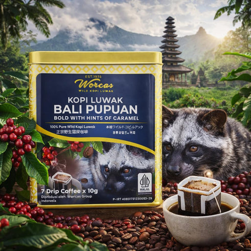 Worcas Wild Kopi Luwak Bali Pupuan Drip Coffee Bags 7 x 10g