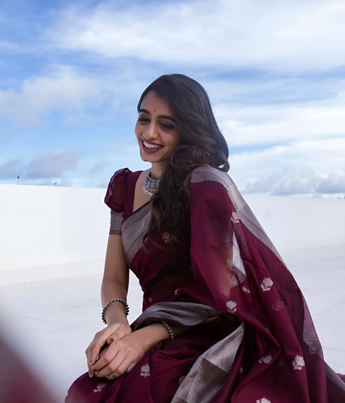 Vasthrlay Banarasi Traditional Saree