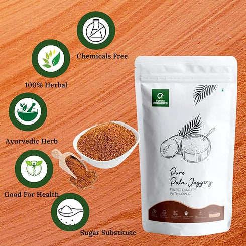 Future Organics Pure Palm Jaggery
