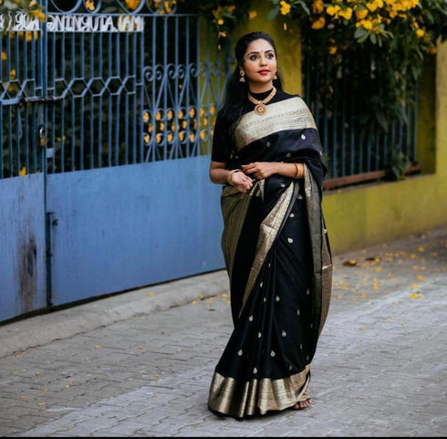 Vasthrlay Kanjivaram Saree