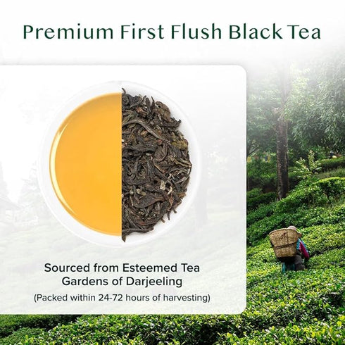 Vahdam Tea Castleton Premium Darjeeling First Flush Black Tea