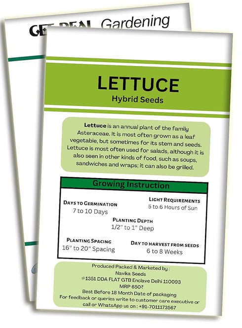 Navika Seeds Grow With Us Lettuce Green Hybrid Vegetable Seed