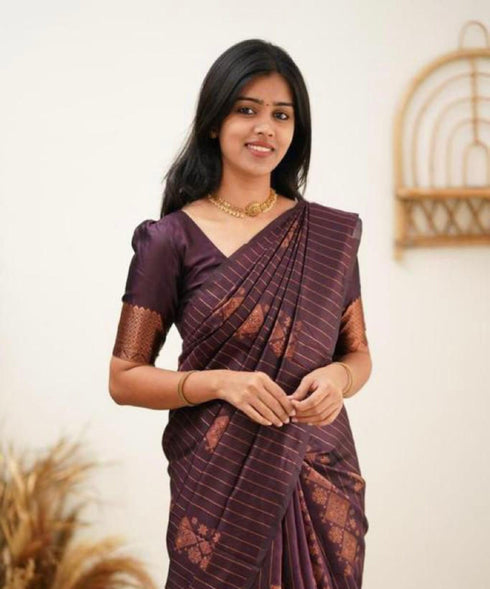 Vasthrlay Banarasi Traditional Saree