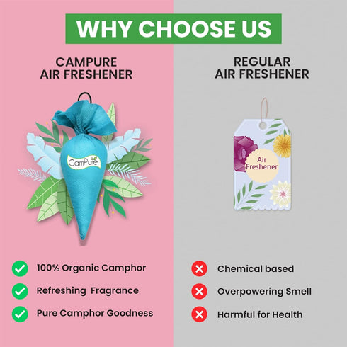 Campure Camphor Cone Pack Of 2-100% Organic