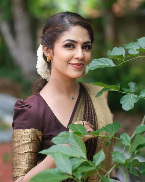 VasthrlayBurgundy Banarasi Kanchipuram Saree