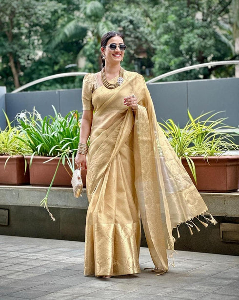 VasthrlayBanarasi Kanjivaram Unstitched Chiku Free Ethnic Wear
