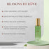 Just Herbs EDP Forest Wood Pocket Perfume