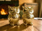 Chocozone Owl Showpiece for Good Luck Vastu Feng Shui Items for Home Decor Figurines Decorative Items