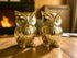 Chocozone Owl Showpiece for Good Luck Vastu Feng Shui Items for Home Decor Figurines Decorative Items