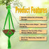 Jainsons Pet Products Bird Hanging Feeder