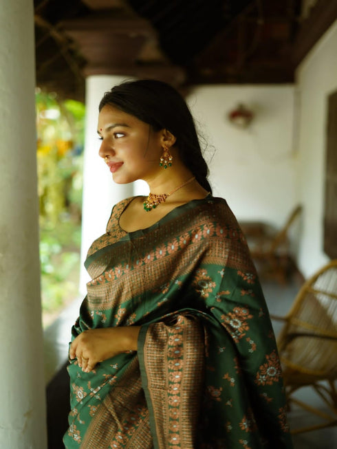 Vasthrlay Banarasi Border Saree