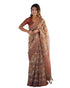 Vasthrlay Handloom Traditional Multicolour Saree