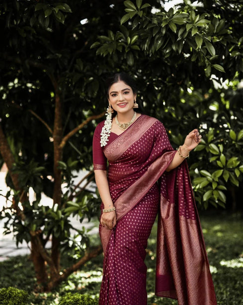 Vasthrlay Lavender Kanjivaram Saree