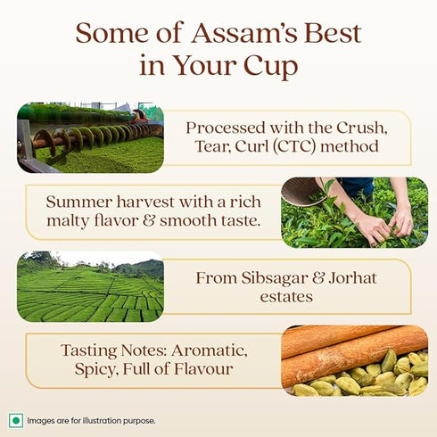 1868 By Tata Tea Masala Chai