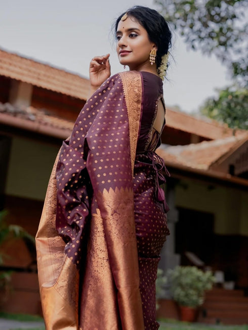 Vsathrlay Banarasi Kanchipuram Saree