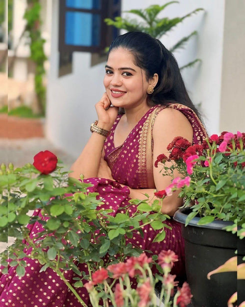 Vasthrlay Banarasi Traditional Saree