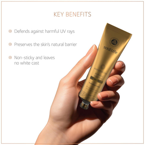 SoulTree Anshumali Elixir Ayurvedic Sunscreen SPF 50 PA+++
