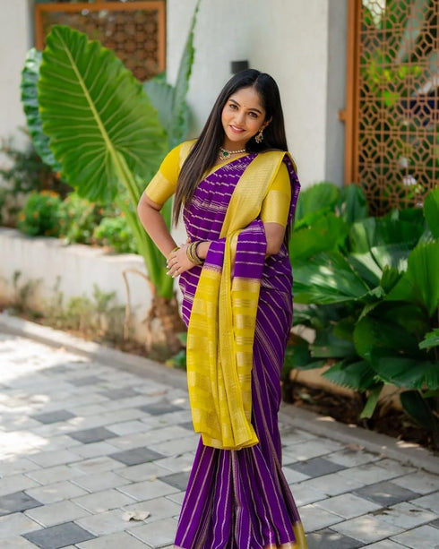 Vasthrlay Cotton Saree