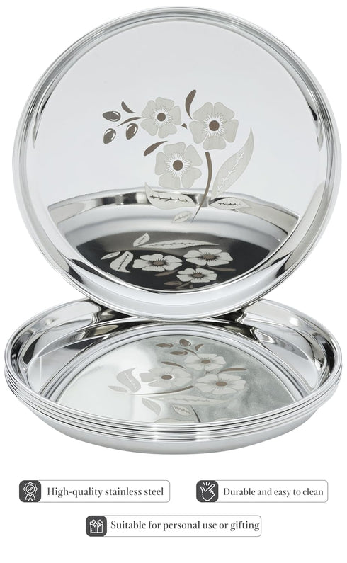 Stainless Steel Plate Set of 6 (12 Inches)