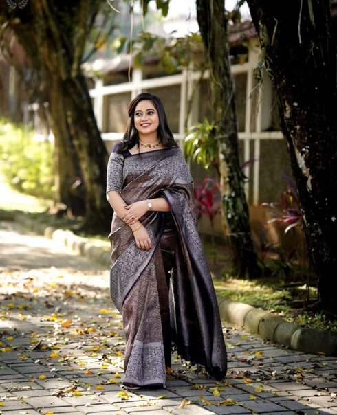 Vasthrlay Kanjivaram Saree